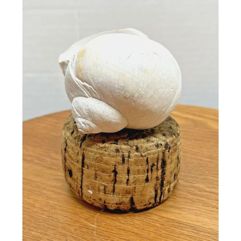 Vtg Natural Sea Moon Snail Rustic Resting Cork Base Nautical Home Decor Beach